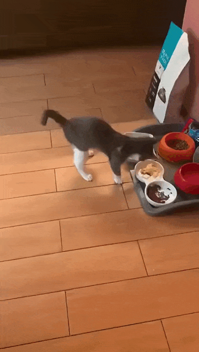 Просто гифки, всякие и&nbsp;разные