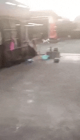 Просто гифки, всякие и&nbsp;разные