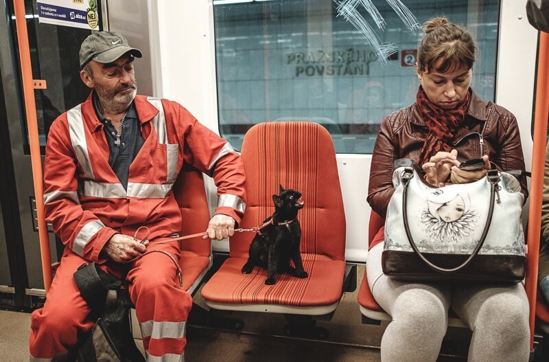 3. На этом фото странно всё