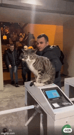 Просто гифки, всякие и&nbsp;разные