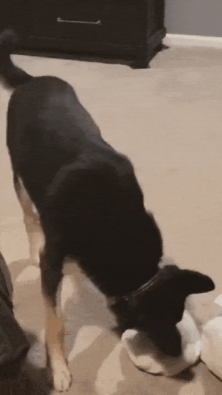 Просто гифки, всякие и&nbsp;разные