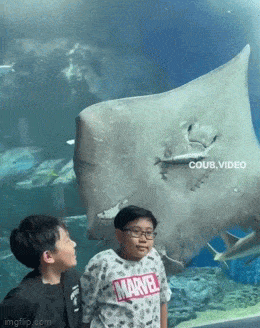 Просто гифки, всякие и&nbsp;разные