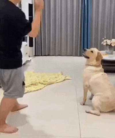 Просто гифки, всякие и&nbsp;разные