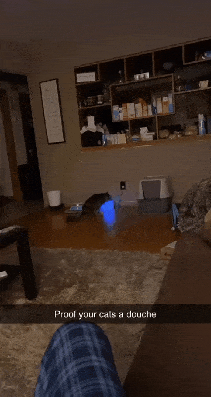 Просто гифки, всякие и&nbsp;разные