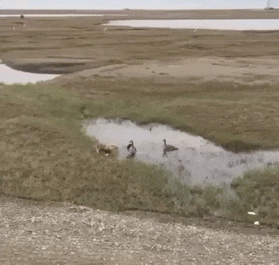 Просто гифки, всякие и&nbsp;разные