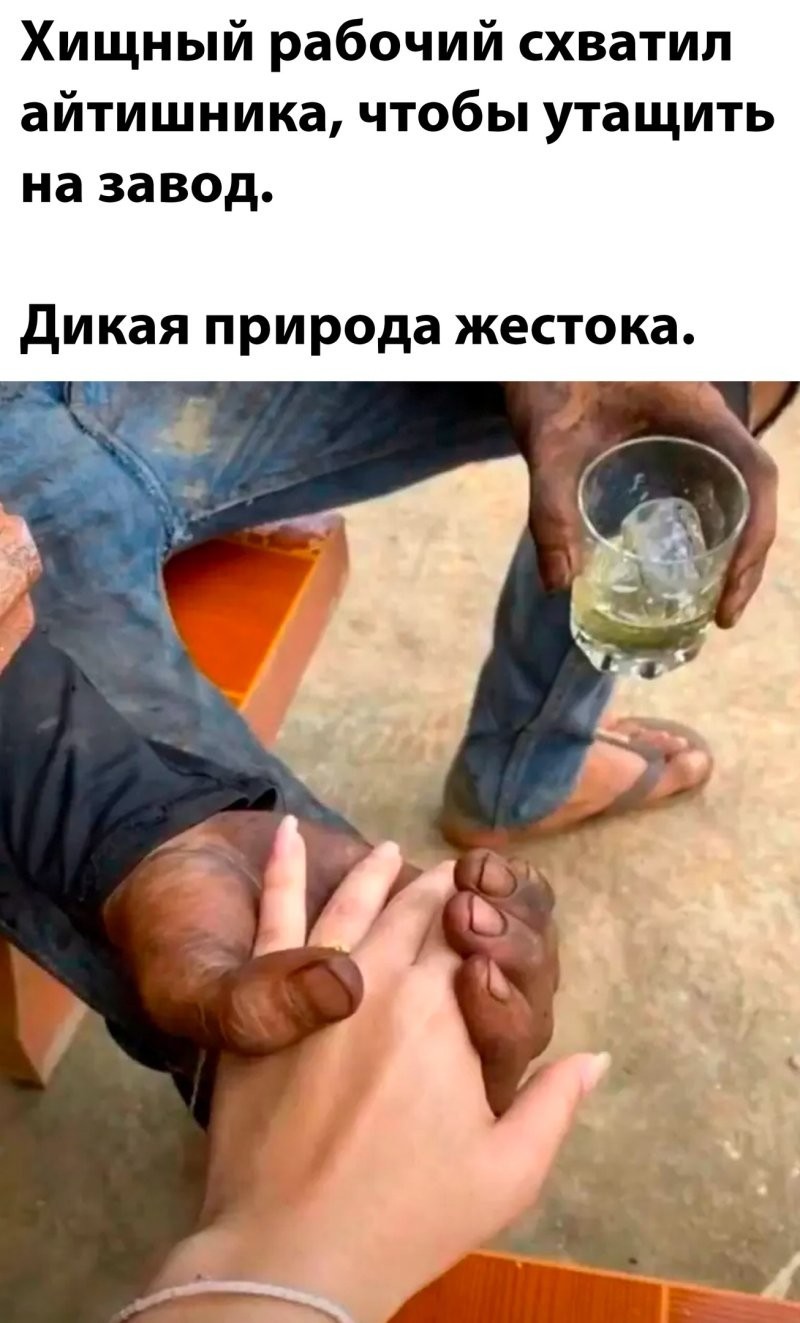 Глава Nvidia рассказал, какие профессии станут самыми востребованными в ближайшие 10 лет
