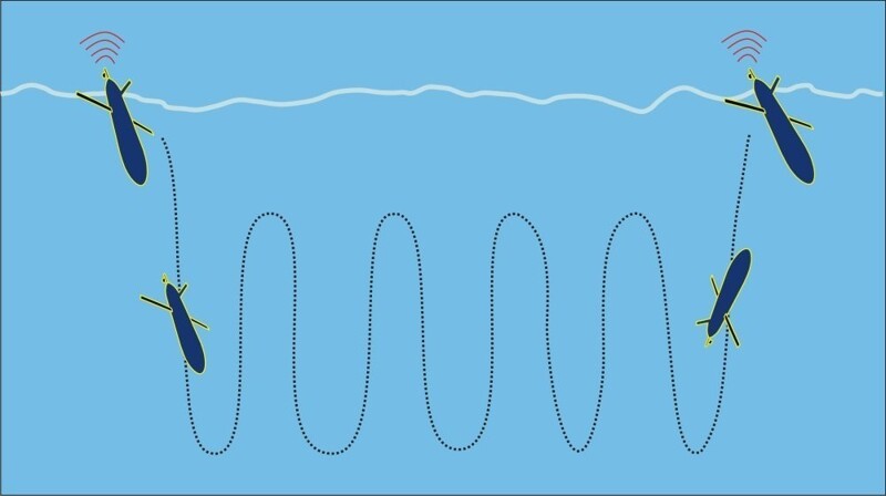 Впервые в России подводный глайдер Впервые в России подводный глайдер