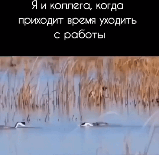 Просто гифки, всякие и&nbsp;разные