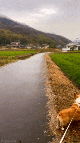 Просто гифки, всякие и&nbsp;разные