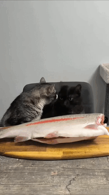 Просто гифки, всякие и&nbsp;разные