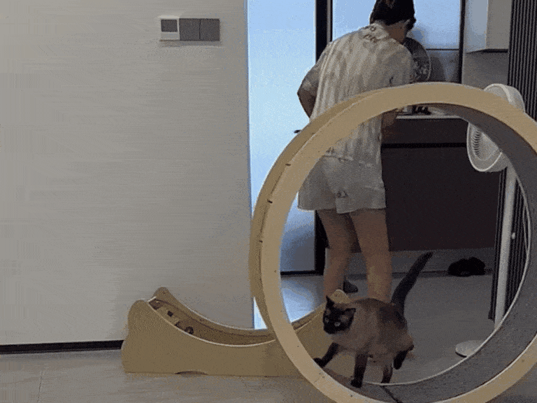 Просто гифки, всякие и&nbsp;разные