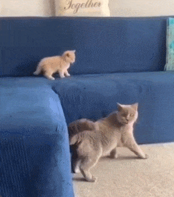 Просто гифки, всякие и&nbsp;разные