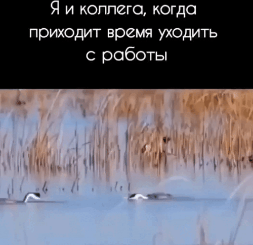 Просто гифки, всякие и&nbsp;разные