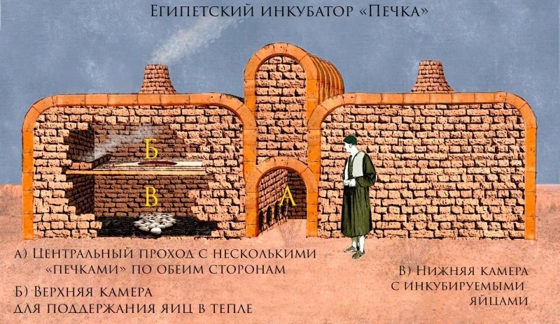 Секреты древнеегипетских птицеводов