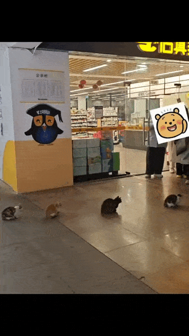 Просто гифки, всякие и&nbsp;разные