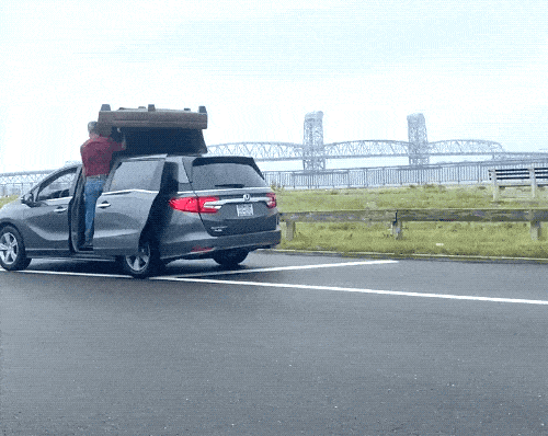 Просто гифки, всякие и&nbsp;разные