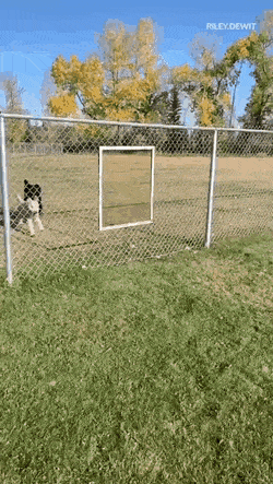 Просто гифки, всякие и&nbsp;разные