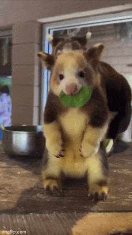 Просто гифки, всякие и&nbsp;разные