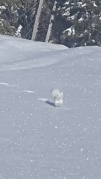 Просто гифки, всякие и&nbsp;разные