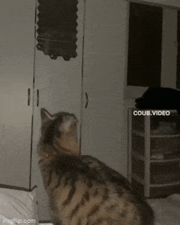 Просто гифки, всякие и&nbsp;разные