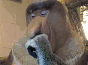 Просто гифки, всякие и&nbsp;разные