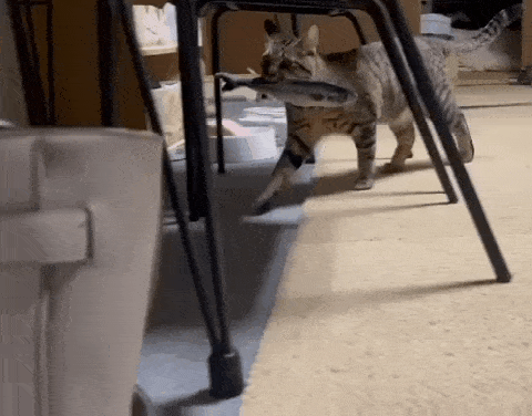 Просто гифки, всякие и&nbsp;разные