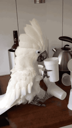 Просто гифки, всякие и&nbsp;разные