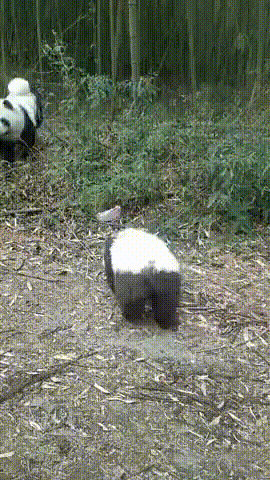 Просто гифки, всякие и&nbsp;разные