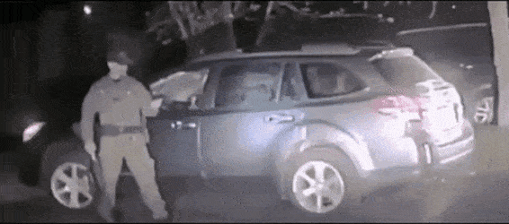 Просто гифки, всякие и&nbsp;разные