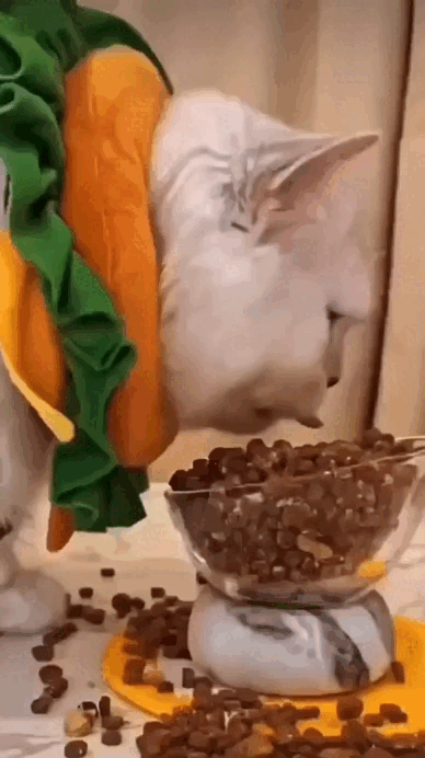 Просто гифки, всякие и&nbsp;разные