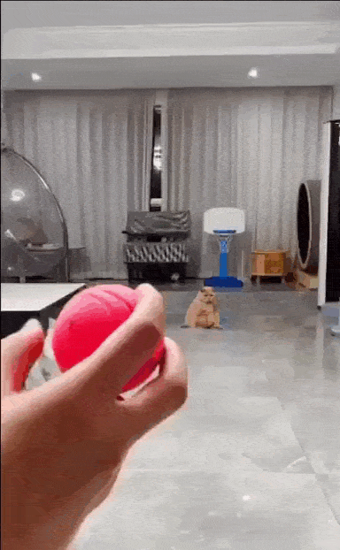 Просто гифки, всякие и&nbsp;разные