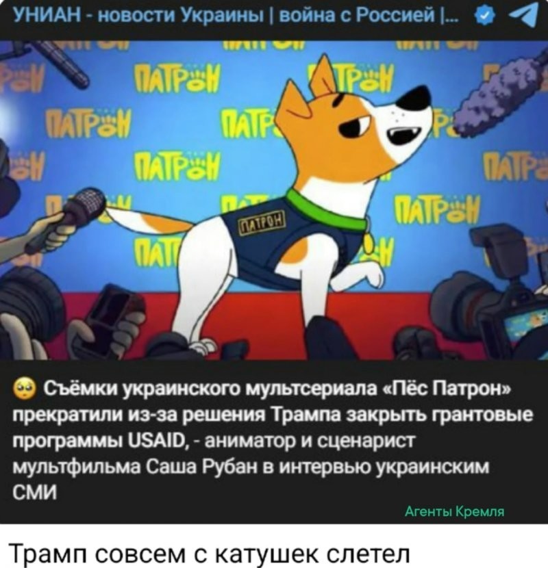 Пёс Патрон потерял свою стратегическую рентабельность