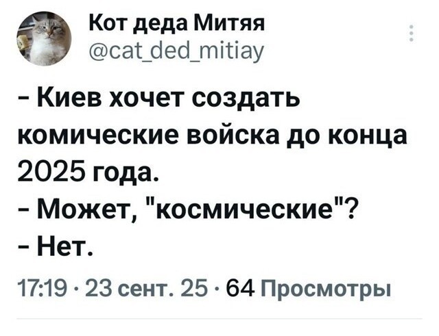 Политика , политика , политика
