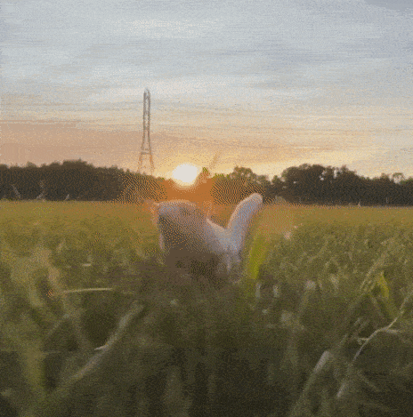 Просто гифки, всякие и&nbsp;разные