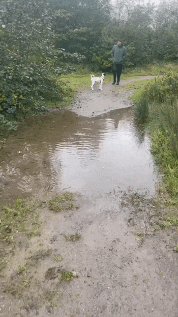 Просто гифки, всякие и&nbsp;разные