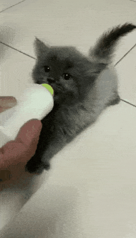 Просто гифки, всякие и&nbsp;разные