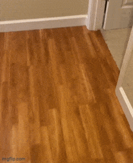 Просто гифки, всякие и&nbsp;разные