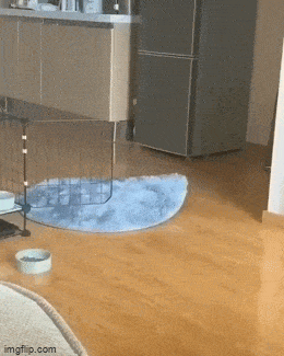 Просто гифки, всякие и&nbsp;разные