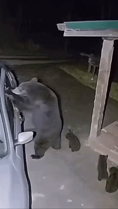 Просто гифки, всякие и&nbsp;разные