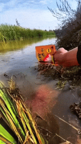 Просто гифки, всякие и&nbsp;разные