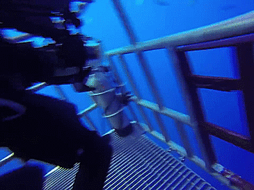 Просто гифки, всякие и&nbsp;разные