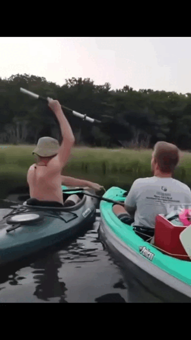 Просто гифки, всякие и&nbsp;разные