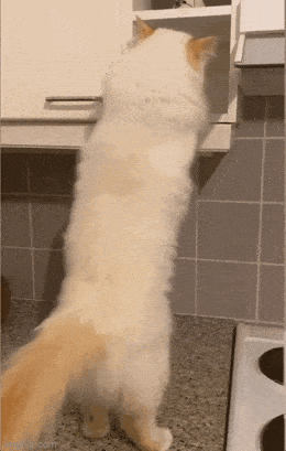 Просто гифки, всякие и&nbsp;разные