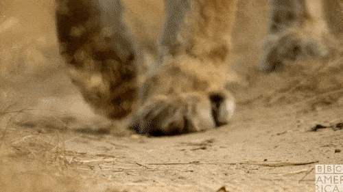 Просто гифки, всякие и&nbsp;разные