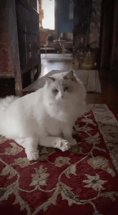 Просто гифки, всякие и&nbsp;разные