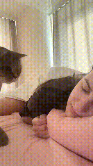 Просто гифки, всякие и&nbsp;разные