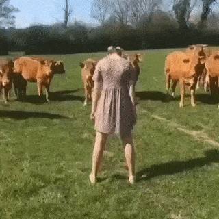 Просто гифки, всякие и&nbsp;разные