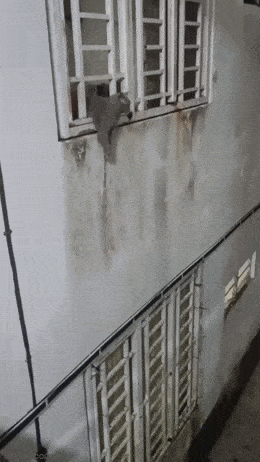 Просто гифки, всякие и&nbsp;разные