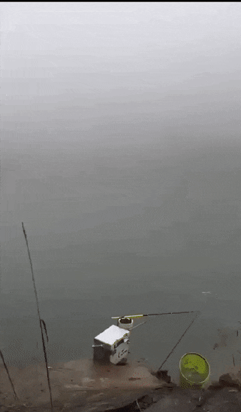 Попробуй догони