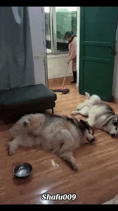 Просто гифки, всякие и&nbsp;разные